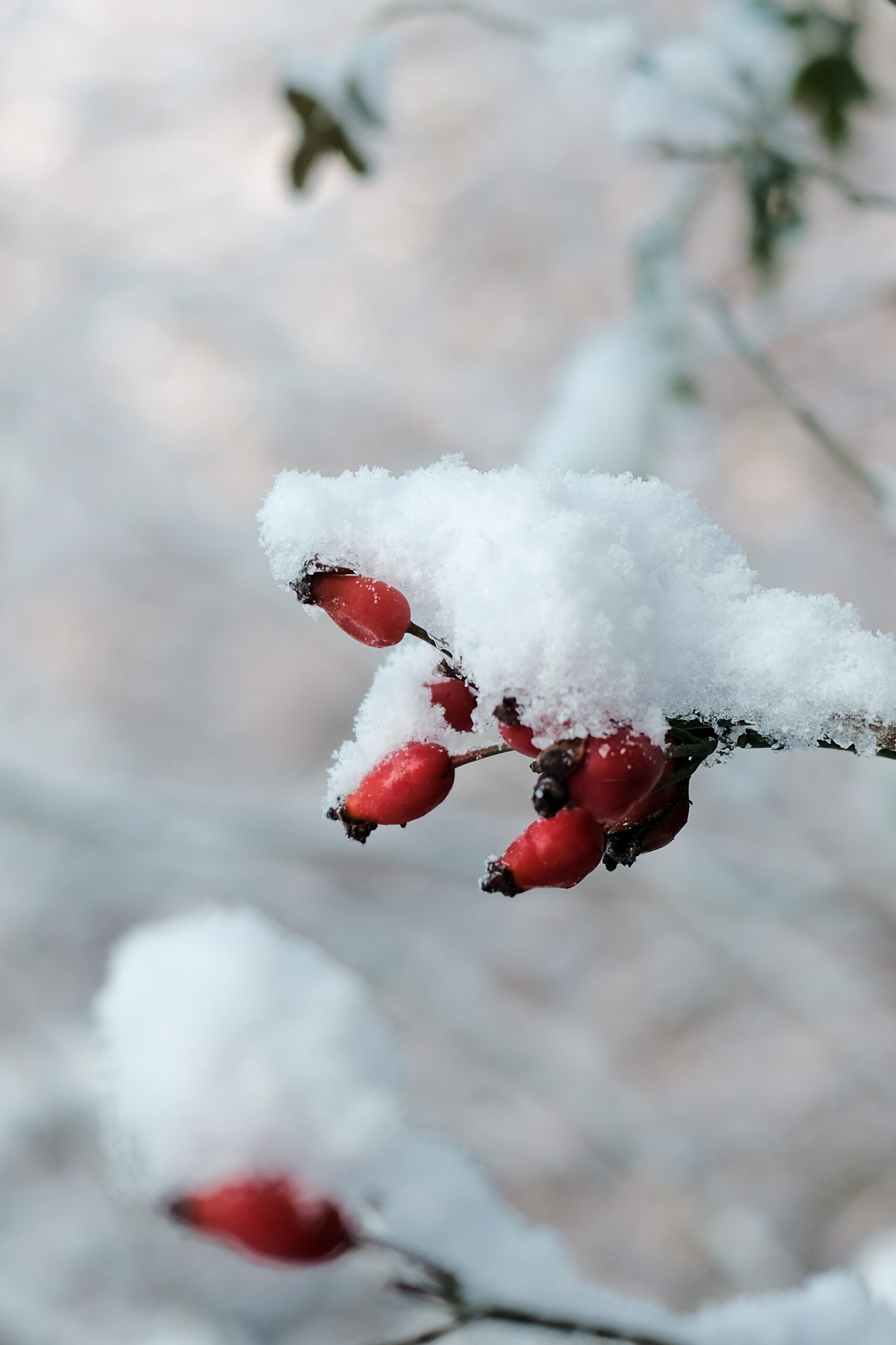 Winter im HOF19